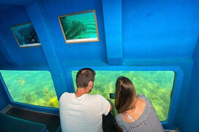 Underwater viewing tours along the coast of Sesimbra - Who should book this tour (and who might not)