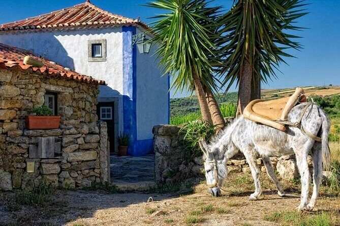 Visit to Queluz Palace and Mafra Convent - Private Tour - Forte do Zambujal: A Short Stop With Strong Context