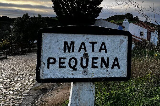 Visit to Queluz Palace and Mafra Convent - Private Tour - How Private Guides Keep the Day Smooth (and Flexible)