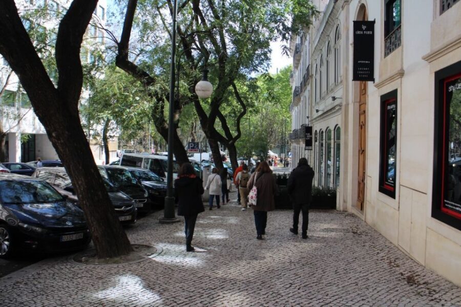 Walking tour: Lisbon in the Shadows of World War II - Who This Tour Suits Best