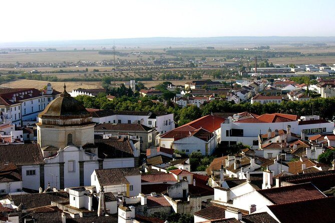 Walled City of Évora’s Highlights & Traditions Tour - Key highlights worth planning around