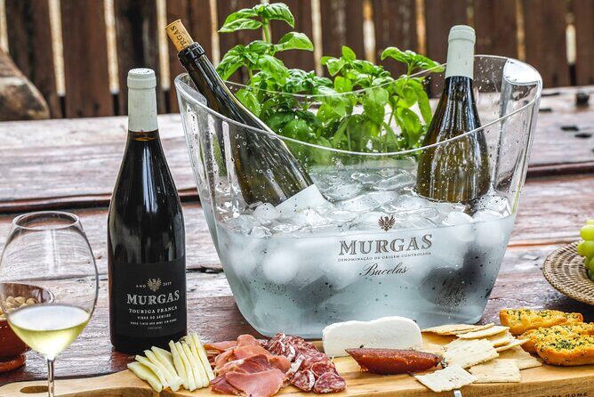 Wine tasting at Quinta das Murgas - Key things I’d circle before you go