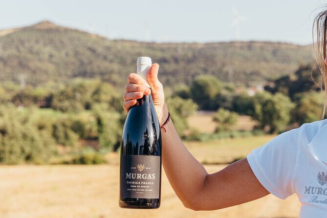 Wine tasting at Quinta das Murgas - Who this experience suits best (and who should think twice)