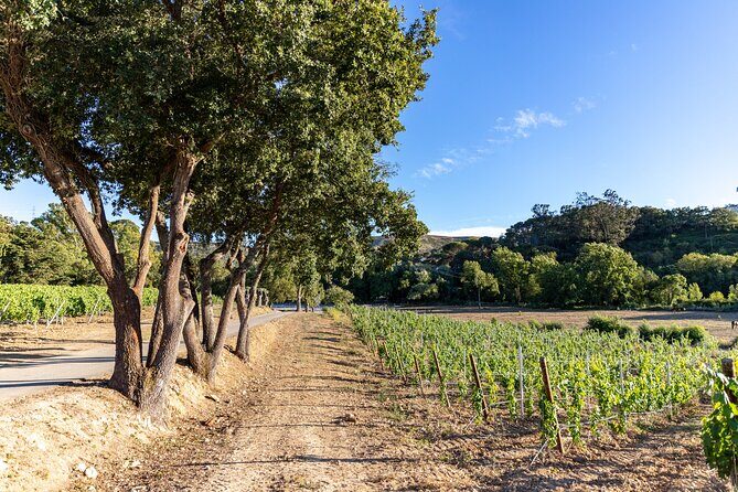Wine tasting at Quinta das Murgas - Book it or skip it: my quick decision guide