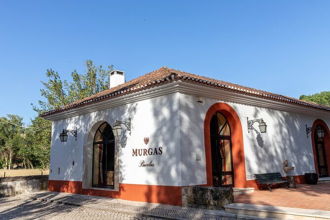 Wine tasting at Quinta das Murgas - The guided walking tour: how Quinta das Murgas primes your tasting