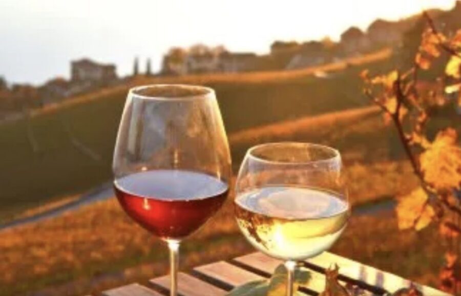 Wine Tasting - Private Half-Day Tour - Key highlights and what they mean for you