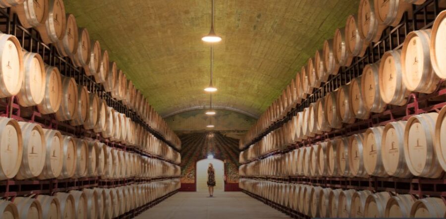 Wine Tasting - Private Half-Day Tour - Wine tasting in Setúbal: the centerpiece you actually came for