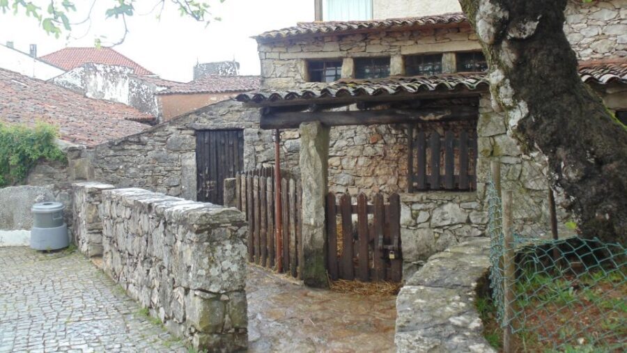 Wonders of Fátima Half Day Private Tour - Free time inside the sanctuary: how to use it without losing the vibe